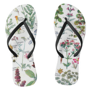 Botanical Illustrations Thongs