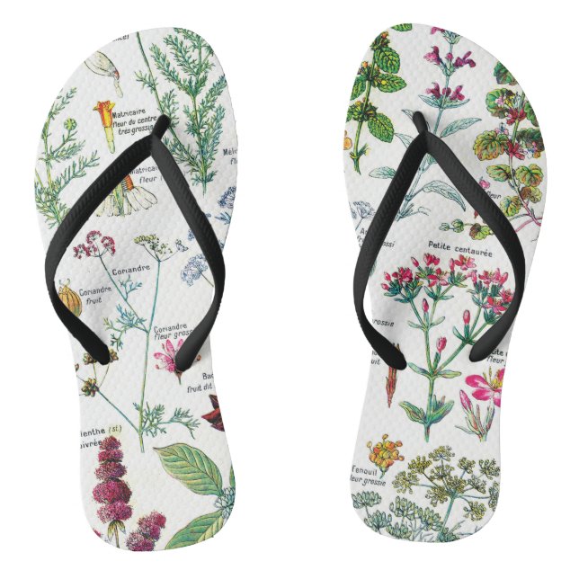 Botanical Illustrations Thongs (Footbed)