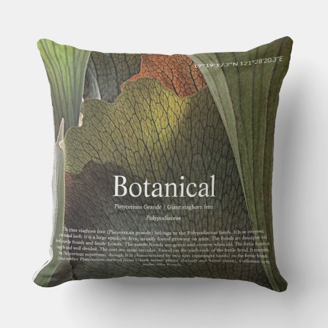 Botanical interior. cushion (Front)