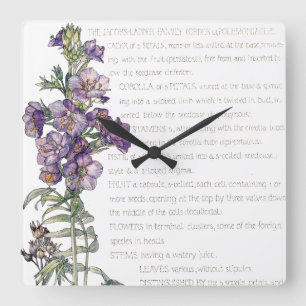 Botanical Jacobs Ladder Family Flowers Wall Clock