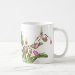 Botanical Ladys Slipper Orchid Flowers Floral Coffee Mug