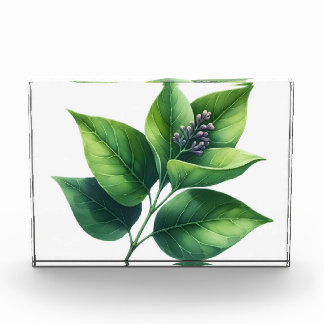 Botanical Leaf and Blossoms Photo Block