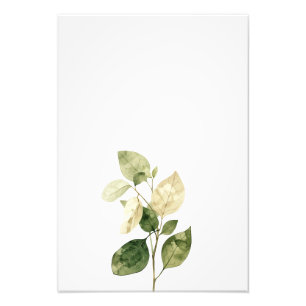 Botanical Leaf Watercolor Art Print-Ficus Photo Print