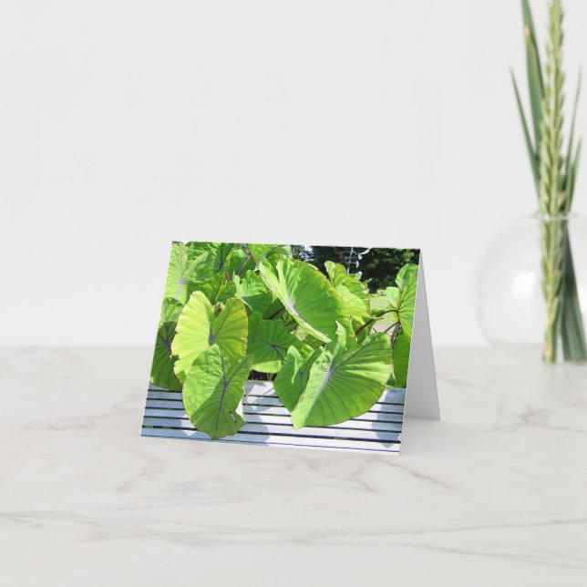 Botanical Leaves Note Card (Front)