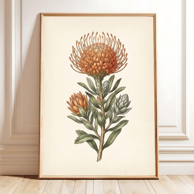 Botanical Leucospermum Cottage Wall Art (Creator Uploaded)