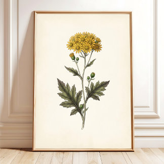 Botanical Ligularia Cottagecore Wall Art