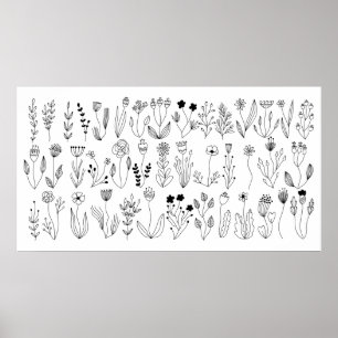 Botanical Line Art Poster