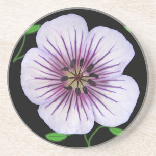 Botanical Pale Blue Geranium Flower on any Colour Coaster
