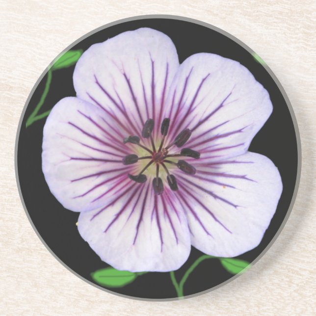 Botanical Pale Blue Geranium Flower on any Colour Coaster (Front)