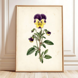 Botanical Pansy Farmhouse Wall Art