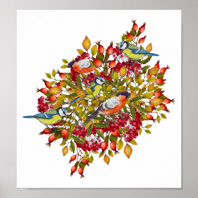 Botanical Plants and Birds Illustration Poster (Front)