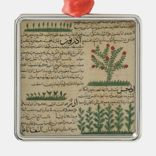 Botanical plants, illustration from 'The Metal Ornament