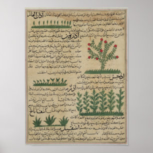 Botanical plants, illustration from 'The Poster