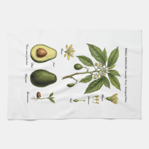 Botanical Plate Avocado Persea Americana and Cross Tea Towel