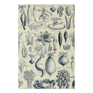 botanical poster