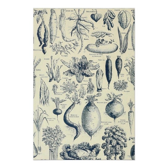 botanical poster (Front)