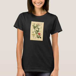 Botanical Print - Dog Rose (Rosa Canina) T-Shirt
