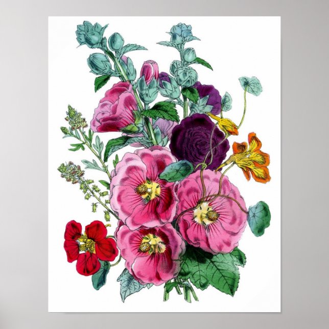 Botanical Print - Hollyhocks & Roses (Front)