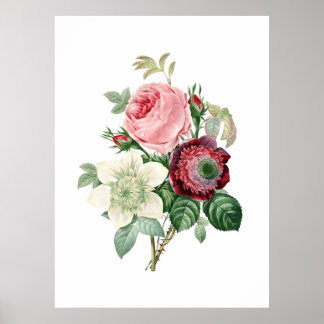 Botanical print of ROSES original by Redoute