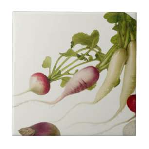 Botanical Radishes Tile