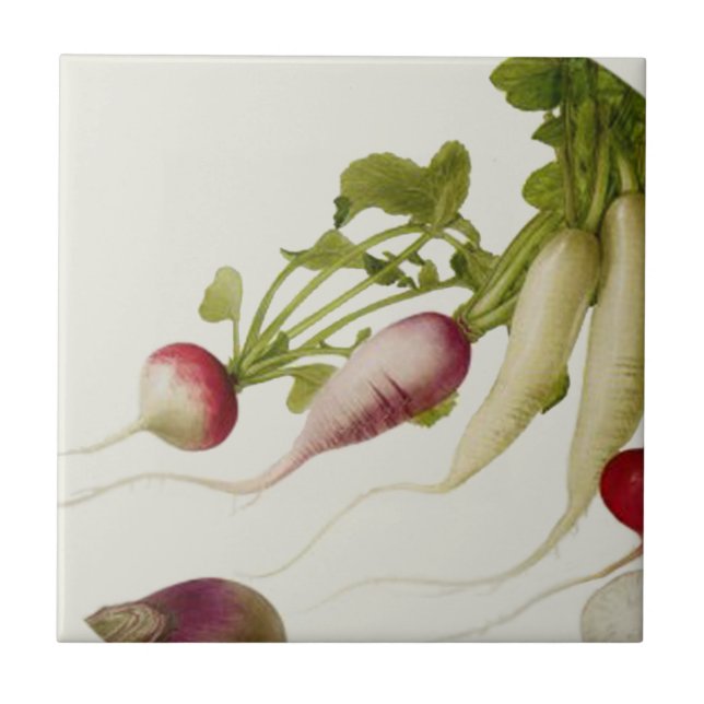 Botanical Radishes Tile (Front)