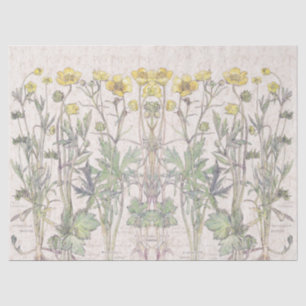 Botanical Ranunculus Flowers Floral Tissue Paper
