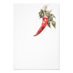 Botanical Red Pepper Watercolor Art Print-Stage3 Photo Print