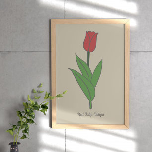 Botanical Red Tulip Pastel Flower  Poster
