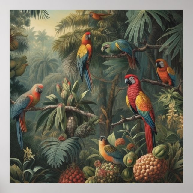 Botanical scene of parrots and pineapples  poster (Front)