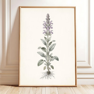 Botanical Silver Sage Cottagecore Wall Art