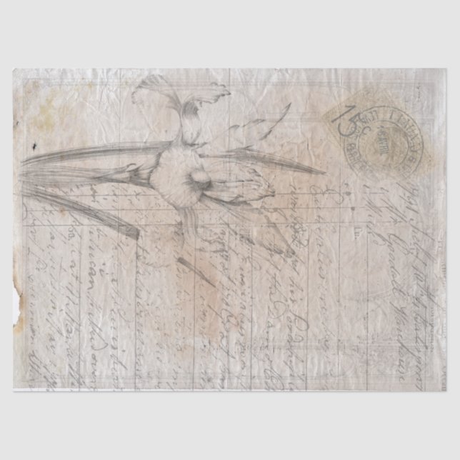 Botanical sketch antique writing decoupage paper. tissue paper (Front)