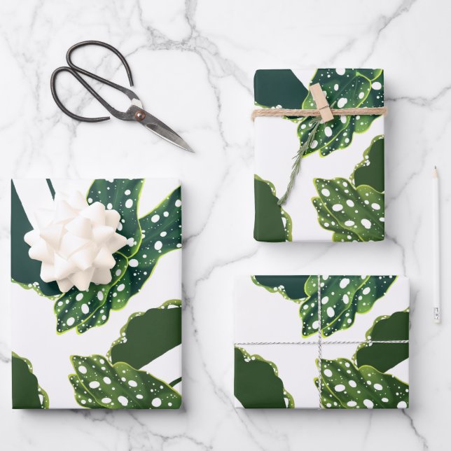 Botanical Spotted Begonia Leaves Wrapping Paper Sh (Front)