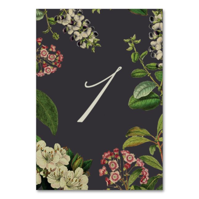 BOTANICAL TABLE NUMBERS- GREY NUMBER (Front)