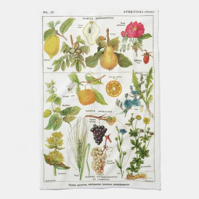 Botanical Tea Towel (Vertical)