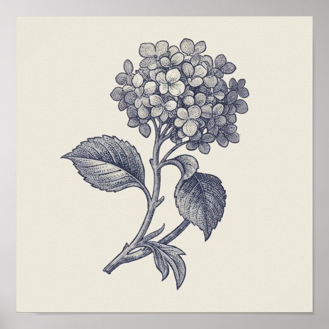 Botanical Toile | Hydrangea Vignette Poster (Front)