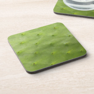 Botanical Tropical Green Cactus Photo Coaster