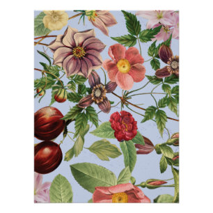 Botanical vintage design poster