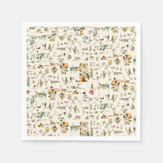 Botanical Vintage Illustrations Collage  Napkin (Front)