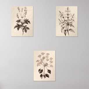 Botanical Wall Art for Living Room