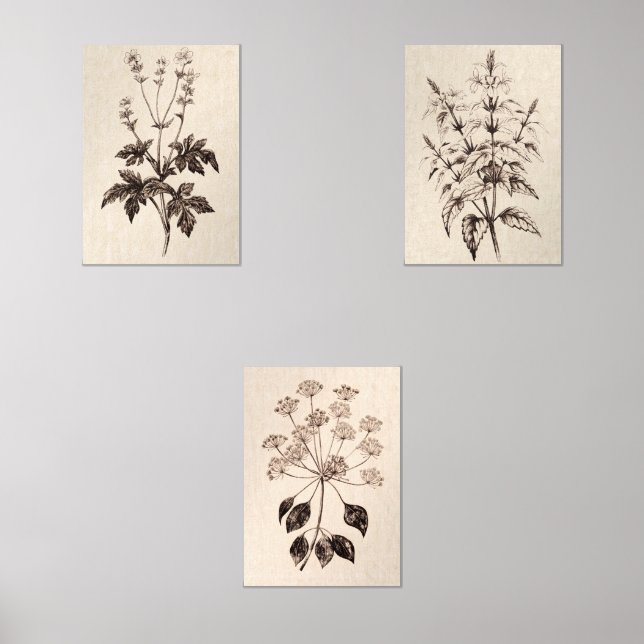 Botanical Wall Art for Living Room (Front)