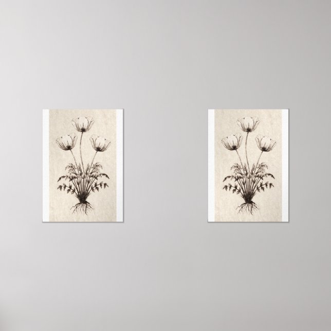 Botanical Wall Art for Living Room (Front)