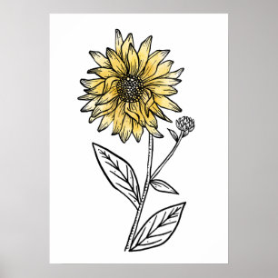 Botanical watercolor aesthetic line art sunflower poster