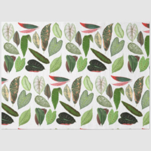 Botanical Watercolor Vintage Greenery Leaves Tissue Paper