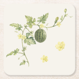 Botanical Watermelon Vine Paper Coaster