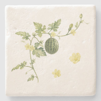Botanical Watermelon Vine Stone Coaster