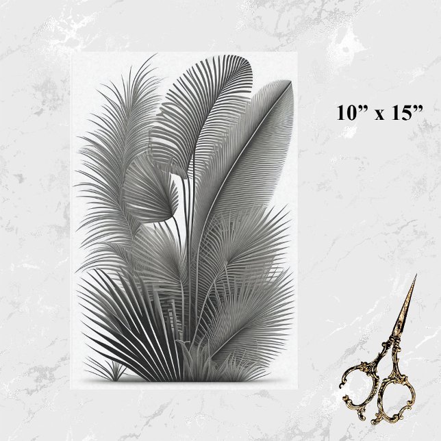 Botanical White Black Line Drawing Small Tissue Paper (Creator Uploaded)