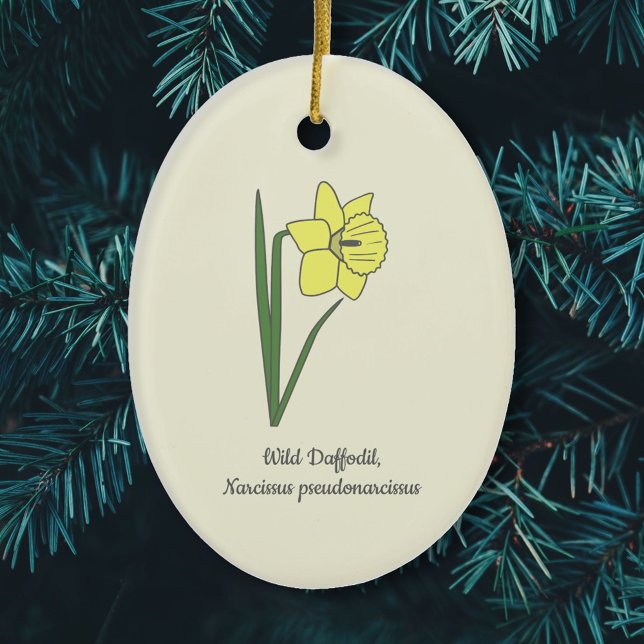 Botanical Wild Daffodil Pastel Flower  Ceramic Ornament (Botanical Wild Daffodil Ornament)