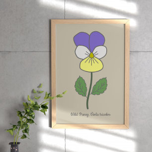 Botanical Wild Pansy Pastel Flower  Poster