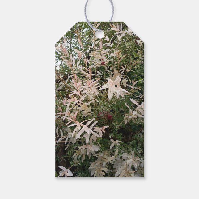 Botanical Wildflower Gift Tag (Front)