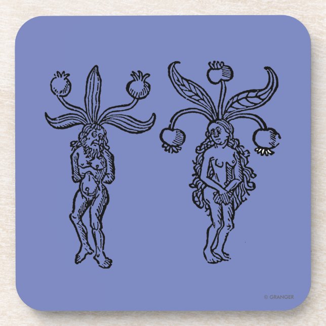 Botany: Mandrake, 1476 Coaster (Front)